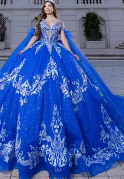 Quince Dresses With Sleeves|Plus Sized Quince Dresses^Vizcaya Quinceanera 4080028