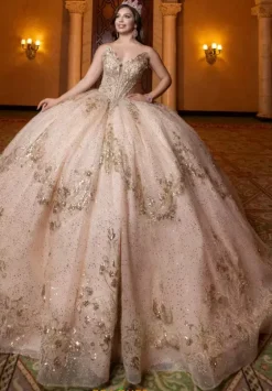 Quince Dresses With Sleeves|Plus Sized Quince Dresses^Vizcaya Quinceanera 4080028