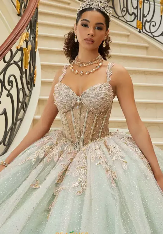 Sweet Sixteen|Plus Sized Quince Dresses^Vizcaya Quinceanera 89471