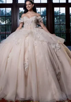 Plus Sized Quince Dresses|Sweet Sixteen^Vizcaya Quinceanera 4080017