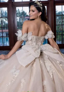Plus Sized Quince Dresses|Sweet Sixteen^Vizcaya Quinceanera 4080017