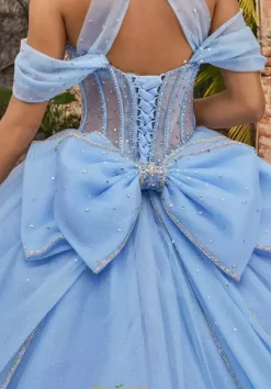 Plus Sized Quince Dresses|Sweet Sixteen^Vizcaya Quinceanera 89554