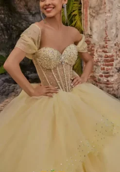 Plus Sized Quince Dresses|Sweet Sixteen^Vizcaya Quinceanera 89554