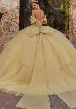 Plus Sized Quince Dresses|Sweet Sixteen^Vizcaya Quinceanera 89554