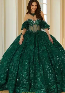 Sweet Sixteen|Plus Sized Quince Dresses^Vizcaya Quinceanera 34114