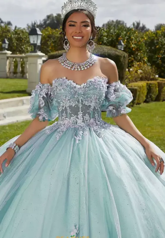 Sweet Sixteen|Plus Sized Quince Dresses^Vizcaya Quinceanera 89421