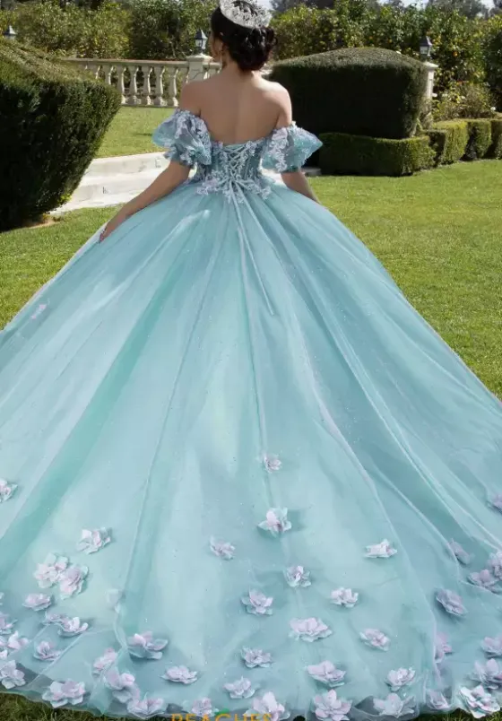 Sweet Sixteen|Plus Sized Quince Dresses^Vizcaya Quinceanera 89421