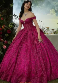 Sweet Sixteen|Plus Sized Quince Dresses^Vizcaya Quinceanera 89455