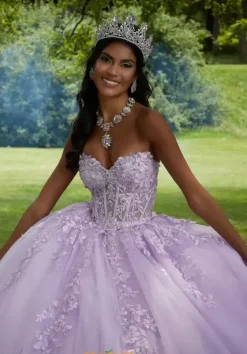 Sweet Sixteen|Plus Sized Quince Dresses^Vizcaya Quinceanera 89454