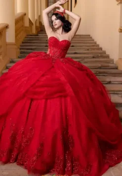 Plus Sized Quince Dresses|Sweet Sixteen^Vizcaya Quinceanera 4080019