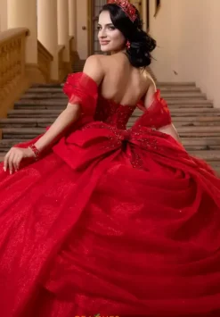 Plus Sized Quince Dresses|Sweet Sixteen^Vizcaya Quinceanera 4080019