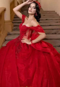 Plus Sized Quince Dresses|Sweet Sixteen^Vizcaya Quinceanera 4080019