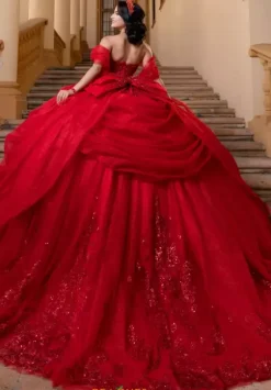 Plus Sized Quince Dresses|Sweet Sixteen^Vizcaya Quinceanera 4080019